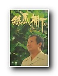 台南市長選舉
