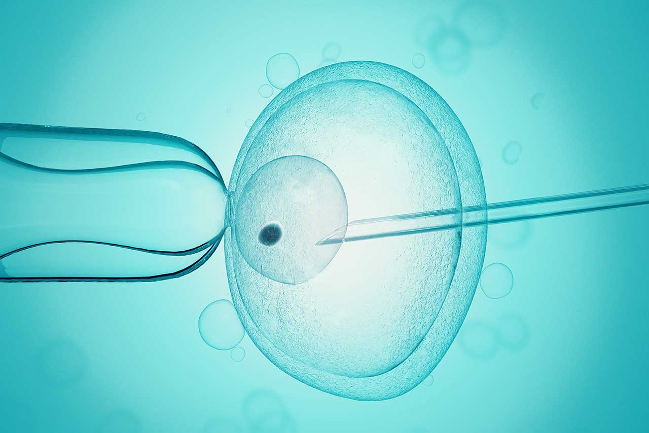 剛宣布人工受孕成功，今趙小僑心痛公布「寶寶16週胎停」