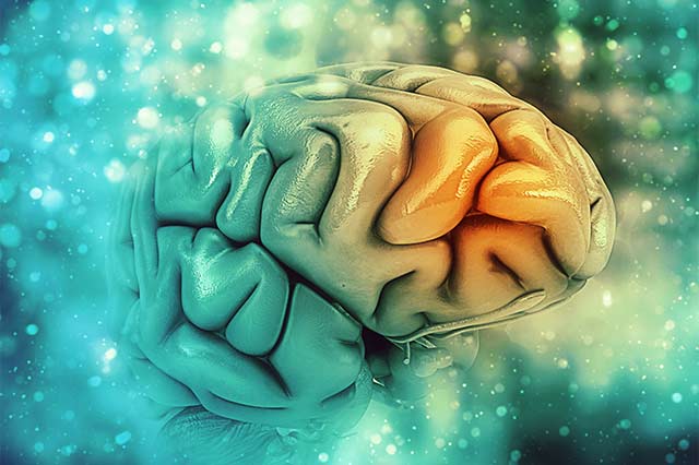 你的情況是健忘還是失智症？