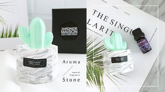 仙人掌擴香石精油香氛組