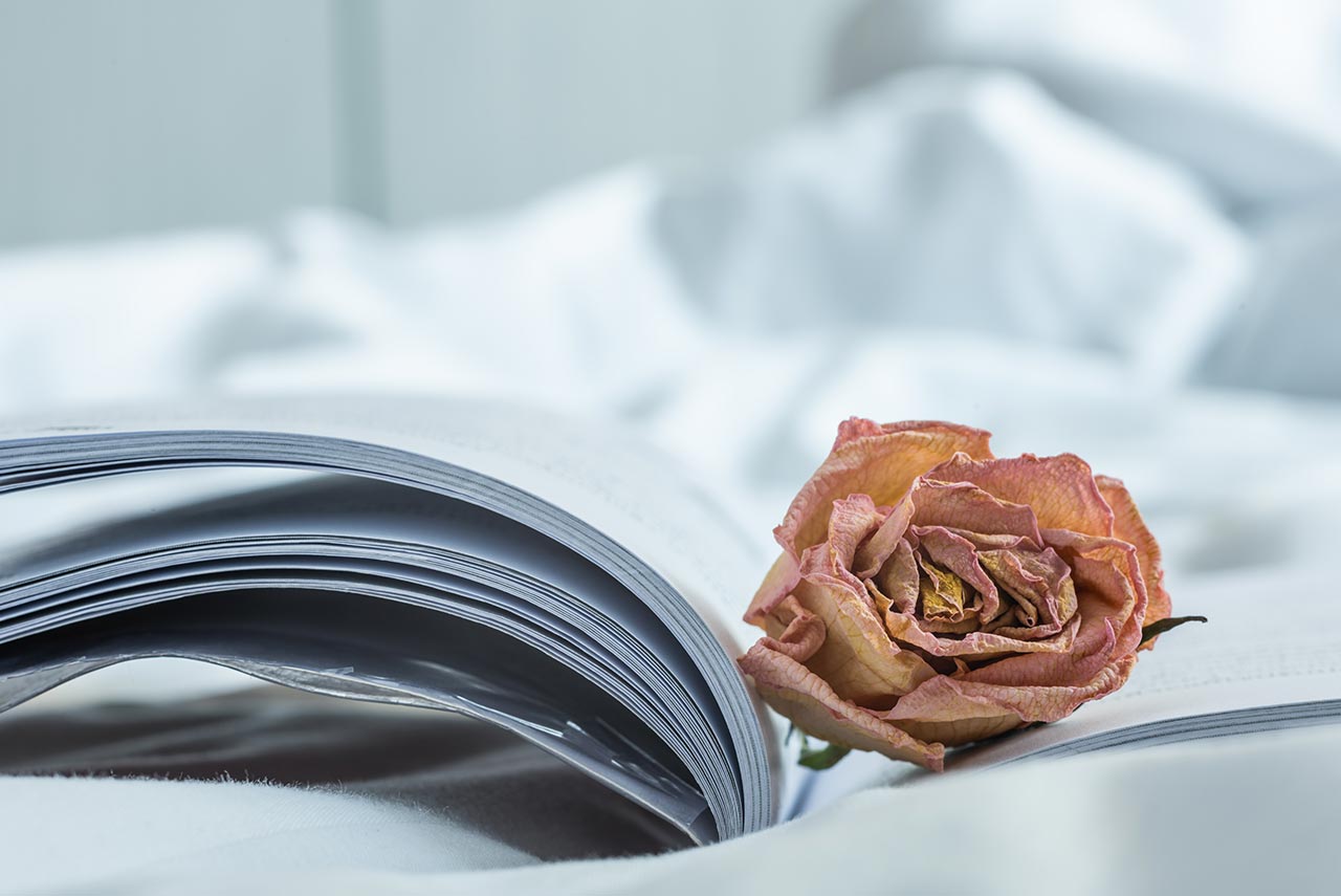 明星夫婦六月、李易婚姻亮紅燈?公共場合放話:「乾脆離婚算了」?