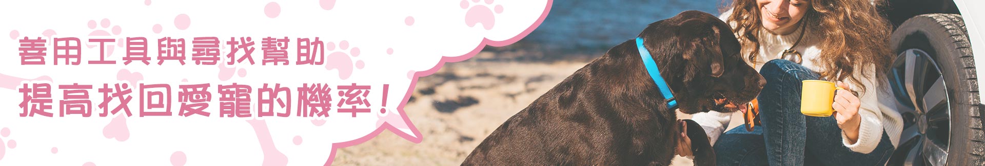 善用工具與尋找幫助，提高找回愛寵的機率