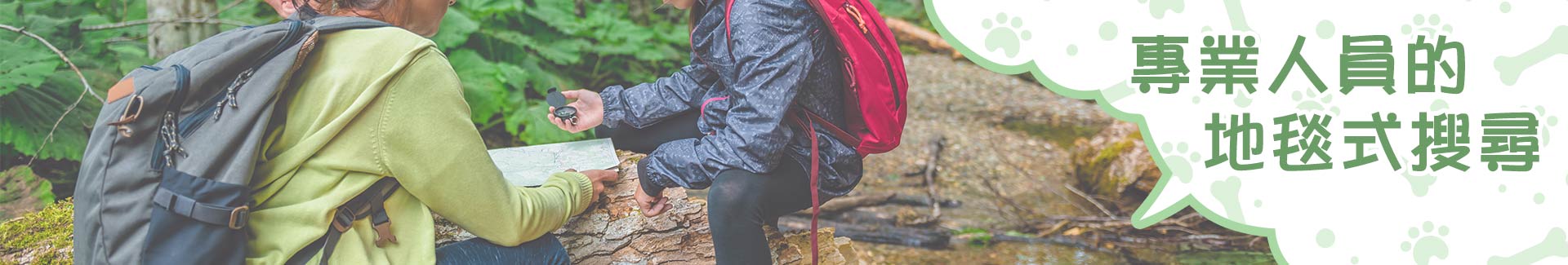 專業人員的地毯式搜尋