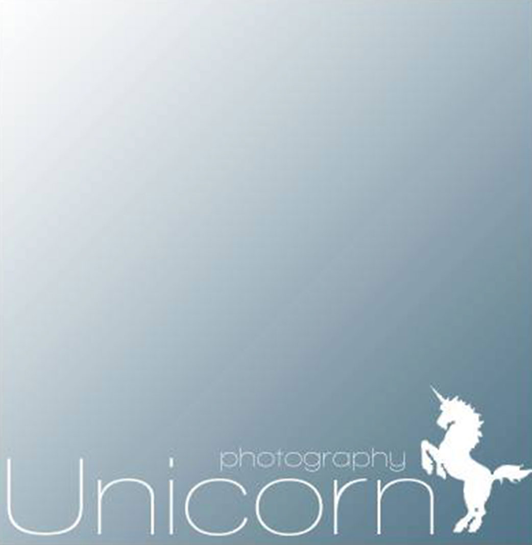 獨角獸婚禮攝影團隊