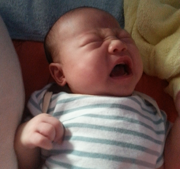 第二章照片範例