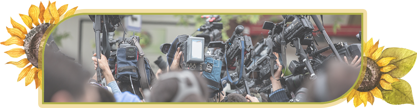 太陽花學運的本質與預後